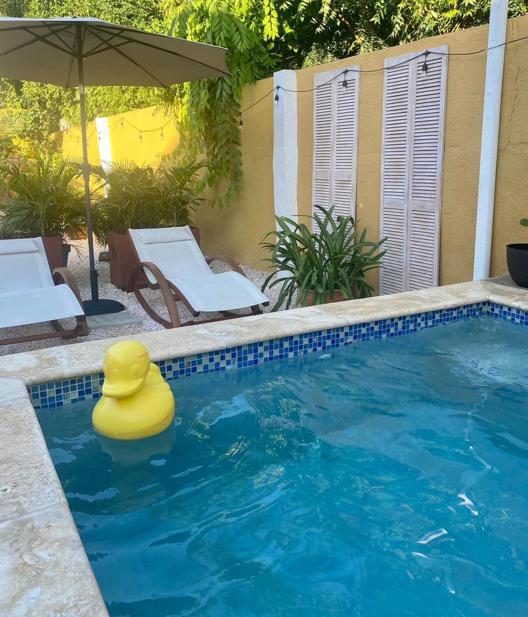 Historic Building The Palm Backyard Studio-Apartment Willemstad, Curacao Feel Home Away From Home Dış mekan fotoğraf